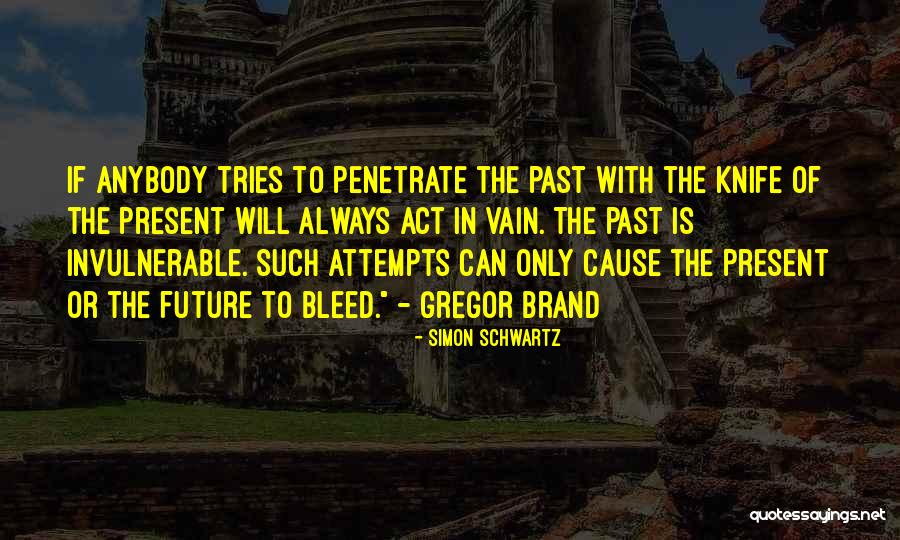 Invulnerable Quotes By Simon Schwartz Invulnerable Quotes By Simon Schwartz