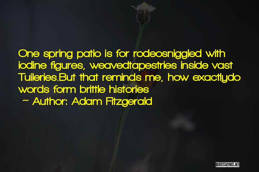 Iodine Quotes By Adam Fitzgerald
