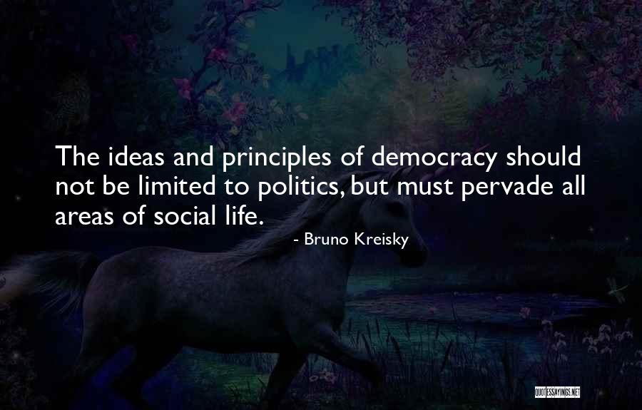 Ion Chromatography Quotes By Bruno Kreisky Ion Chromatography Quotes By Bruno Kreisky