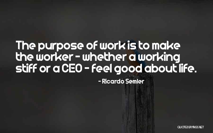 Ionel Jitaru Quotes By Ricardo Semler Ionel Jitaru Quotes By Ricardo Semler