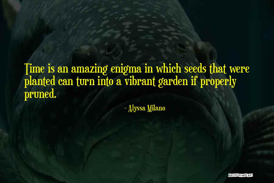 Iorga Cxenebi Quotes By Alyssa Milano Iorga Cxenebi Quotes By Alyssa Milano