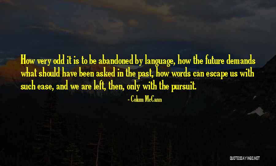 Iorgulescu Quotes By Colum McCann Iorgulescu Quotes By Colum McCann