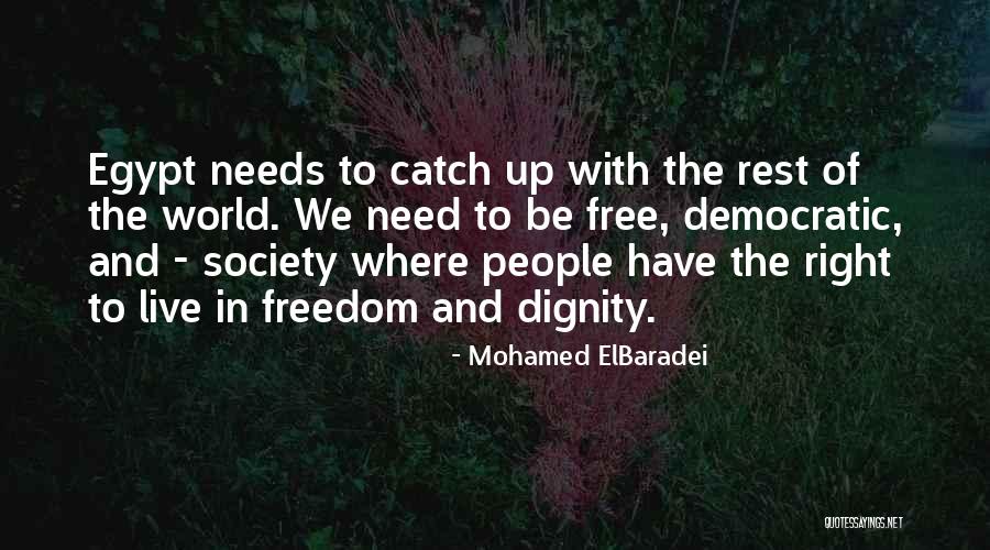 Iosif Vissarionovici Quotes By Mohamed ElBaradei Iosif Vissarionovici Quotes By Mohamed ElBaradei