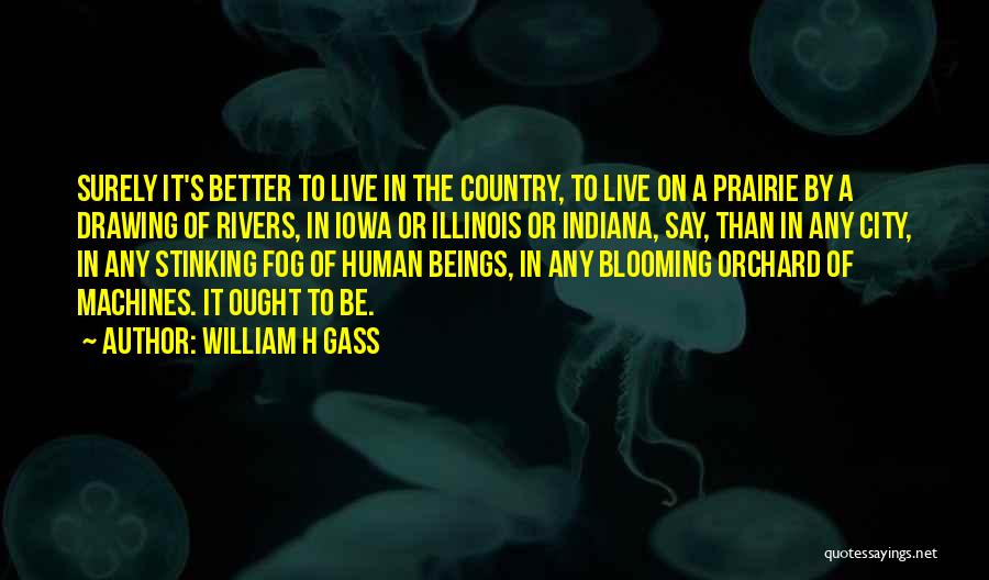 Iowa City Quotes By William H Gass