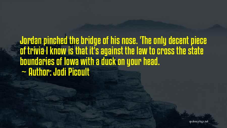 Iowa State Quotes By Jodi Picoult