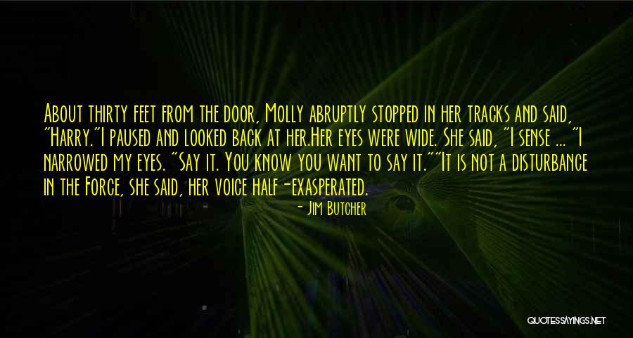 Iphone 5 Case Tumblr Quotes By Jim Butcher Iphone 5 Case Tumblr Quotes By Jim Butcher