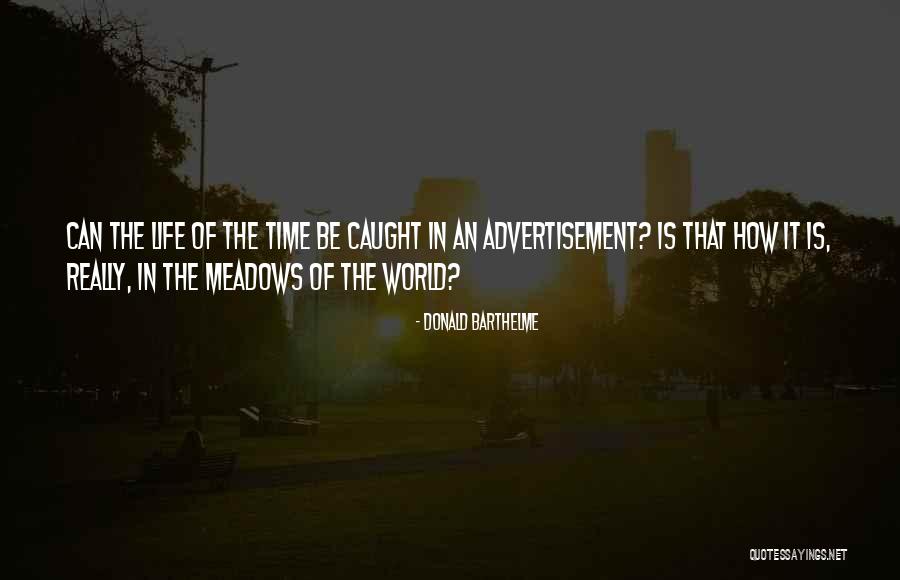 Ipolarity Quotes By Donald Barthelme Ipolarity Quotes By Donald Barthelme
