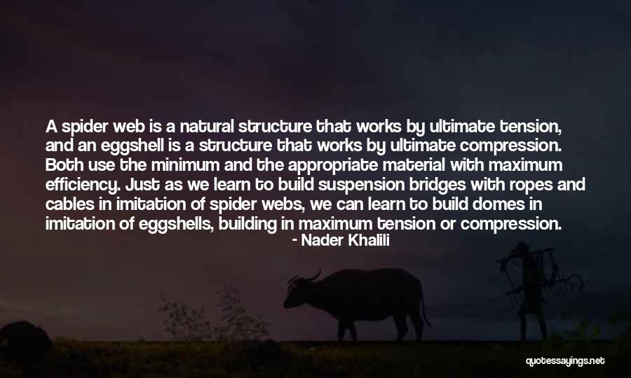 Ippatsu Quotes By Nader Khalili Ippatsu Quotes By Nader Khalili