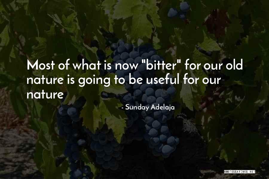 Ippen Digital Quotes By Sunday Adelaja Ippen Digital Quotes By Sunday Adelaja