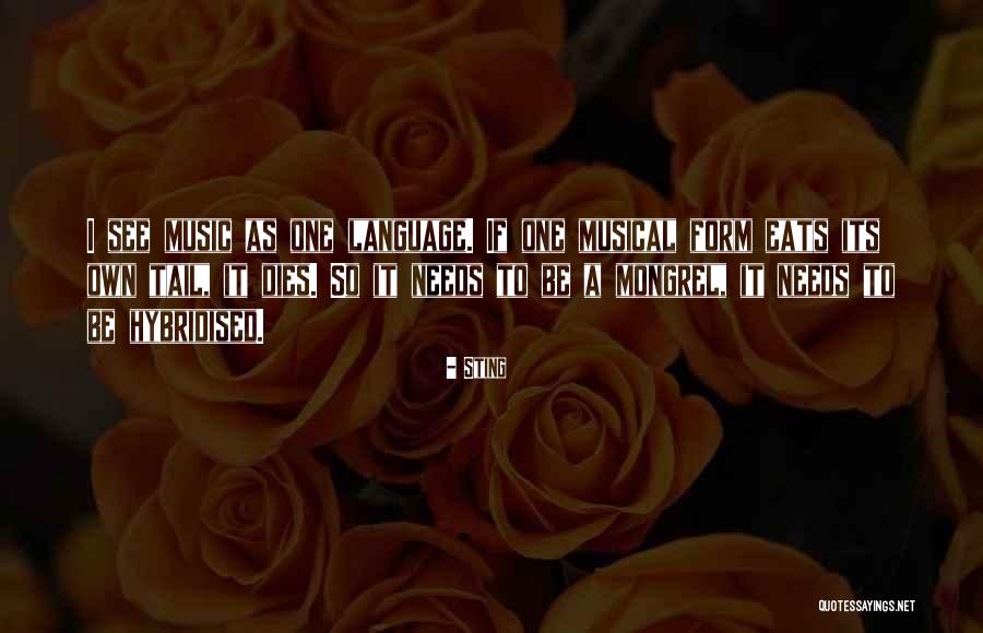 Ippolitov Caucasian Quotes By Sting Ippolitov Caucasian Quotes By Sting