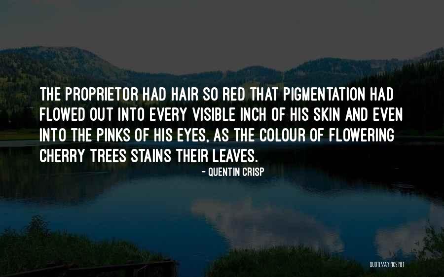 Ips Inspirational Quotes By Quentin Crisp Ips Inspirational Quotes By Quentin Crisp