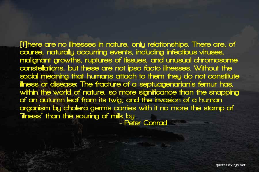 Ipso Quotes By Peter Conrad Ipso Quotes By Peter Conrad