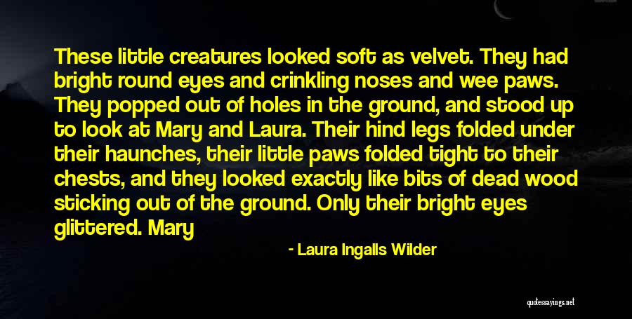 Iq Eq Sq Quotes By Laura Ingalls Wilder Iq Eq Sq Quotes By Laura Ingalls Wilder