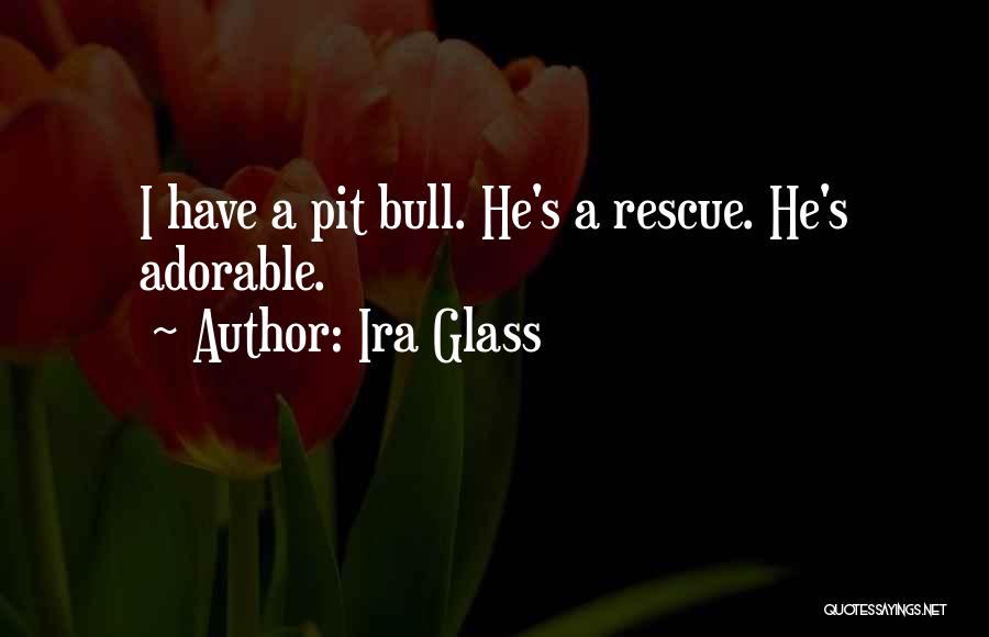 Ira Glass Quotes 1788096