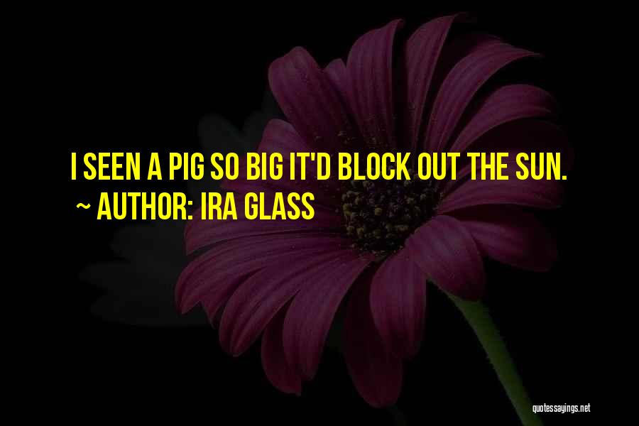 Ira Glass Quotes 324337