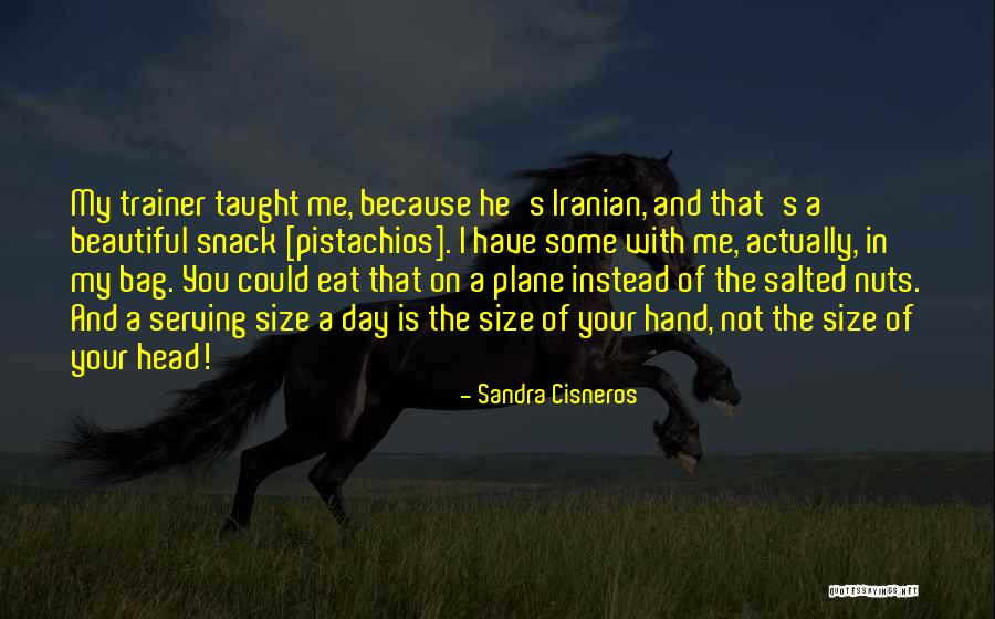 Iranian Quotes By Sandra Cisneros Iranian Quotes By Sandra Cisneros