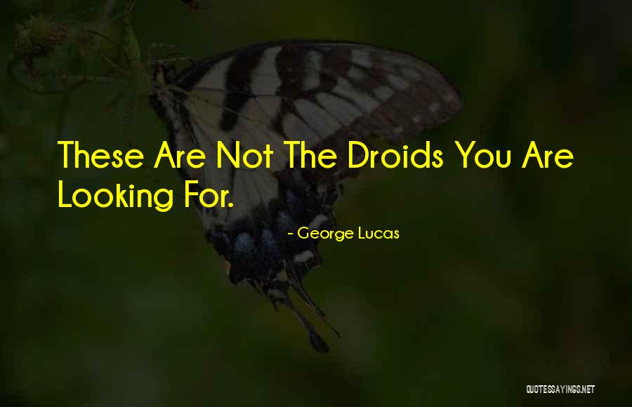 Iraq Sport Quotes By George Lucas Iraq Sport Quotes By George Lucas
