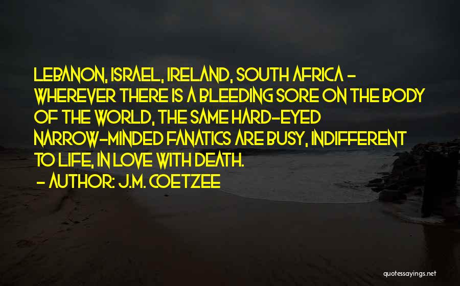 Ireland Love Quotes By J.M. Coetzee