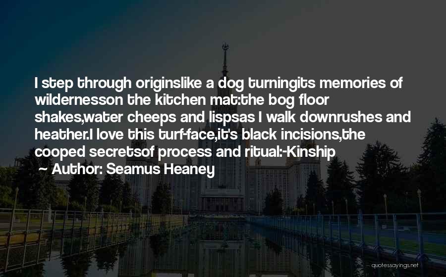 Ireland Love Quotes By Seamus Heaney