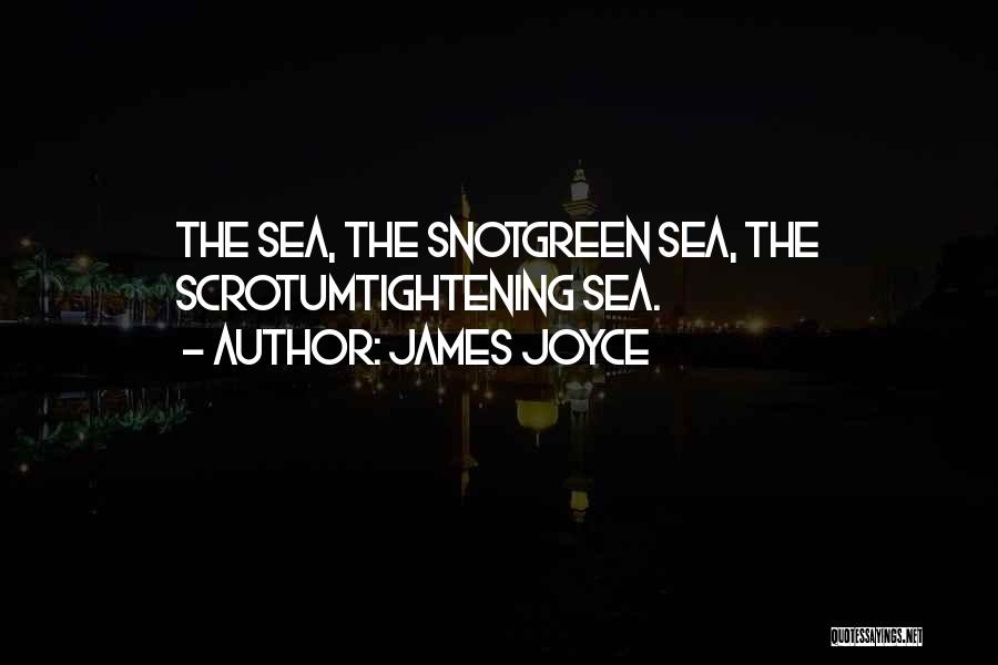 Ireland Quotes By James Joyce