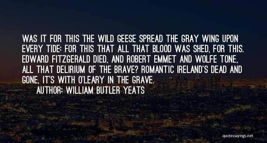 Ireland Yeats Quotes By William Butler Yeats