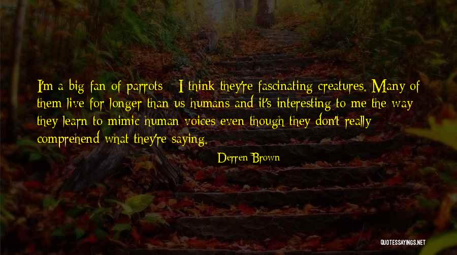 Irelandseye Quotes By Derren Brown Irelandseye Quotes By Derren Brown