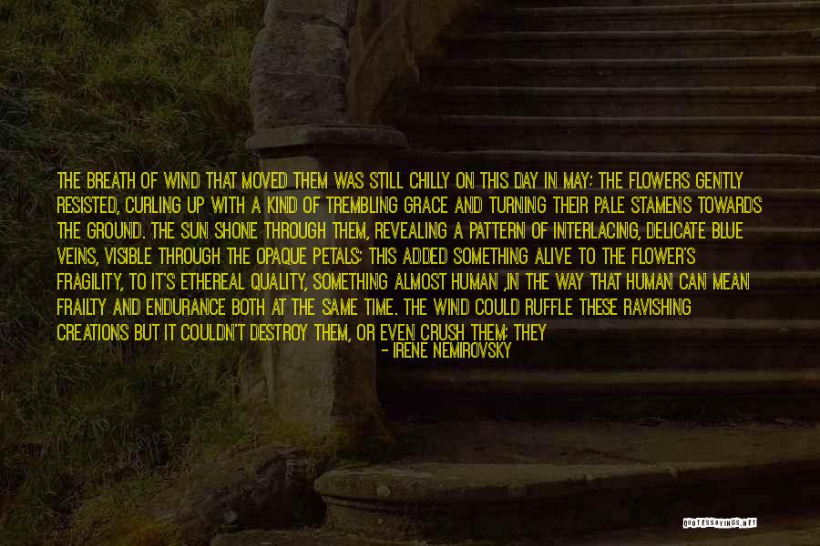 Irene Nemirovsky Quotes 1067458 Irene Nemirovsky Quotes 1067458