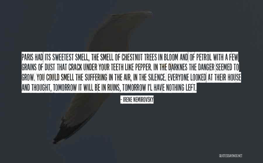 Irene Nemirovsky Quotes 2090127 Irene Nemirovsky Quotes 2090127