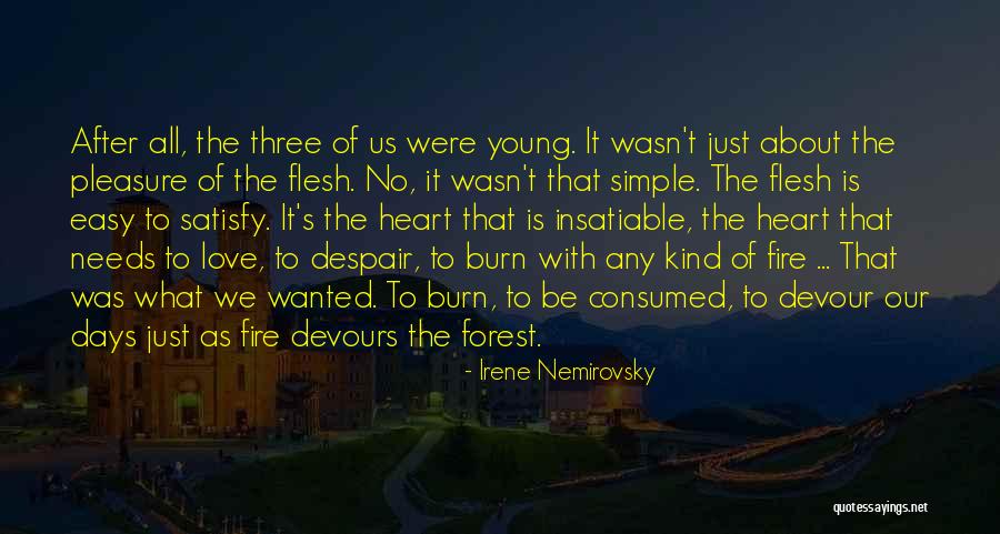 Irene Nemirovsky Quotes 534442