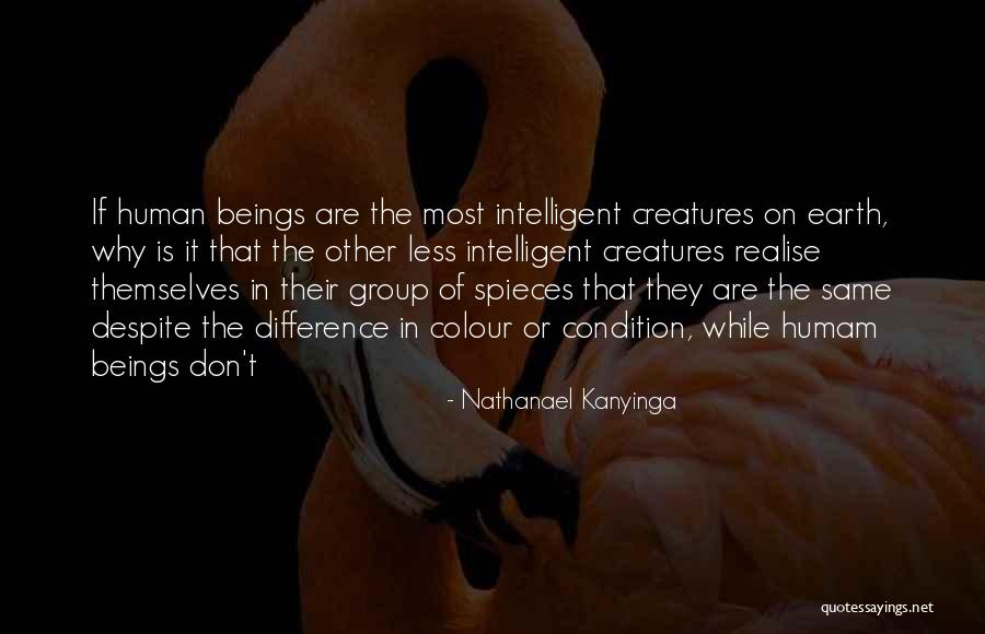 Irene Redfield Quotes By Nathanael Kanyinga Irene Redfield Quotes By Nathanael Kanyinga