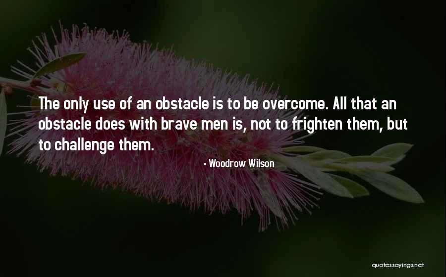 Irenka And Karol Quotes By Woodrow Wilson Irenka And Karol Quotes By Woodrow Wilson