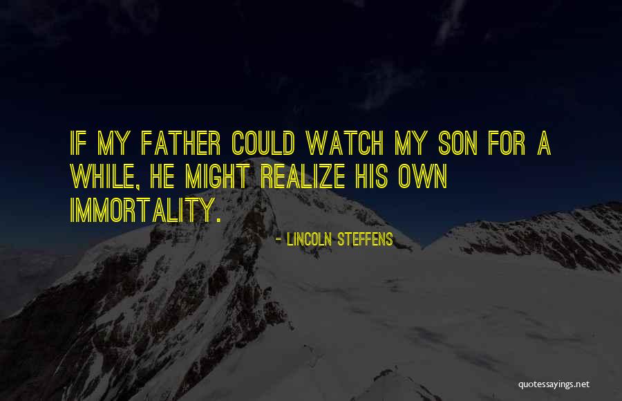 Irenka Stojakovic Quotes By Lincoln Steffens Irenka Stojakovic Quotes By Lincoln Steffens
