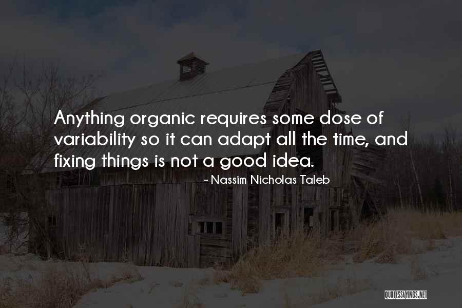 Irgens Phoenix Quotes By Nassim Nicholas Taleb Irgens Phoenix Quotes By Nassim Nicholas Taleb