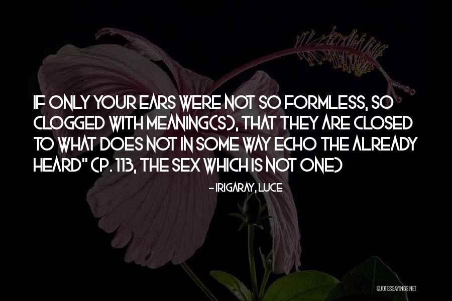 Irigaray, Luce Quotes 1004747 Irigaray, Luce Quotes 1004747