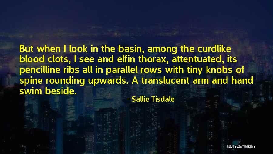 Irimescu Gabriela Quotes By Sallie Tisdale Irimescu Gabriela Quotes By Sallie Tisdale
