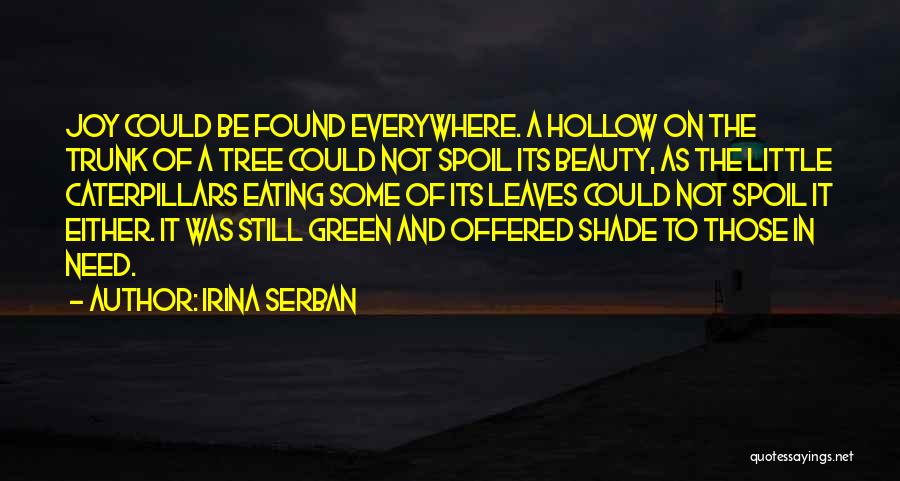 Irina Serban Quotes 744689