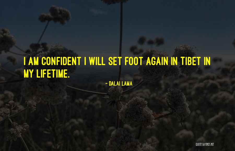 Irinel Quotes By Dalai Lama Irinel Quotes By Dalai Lama
