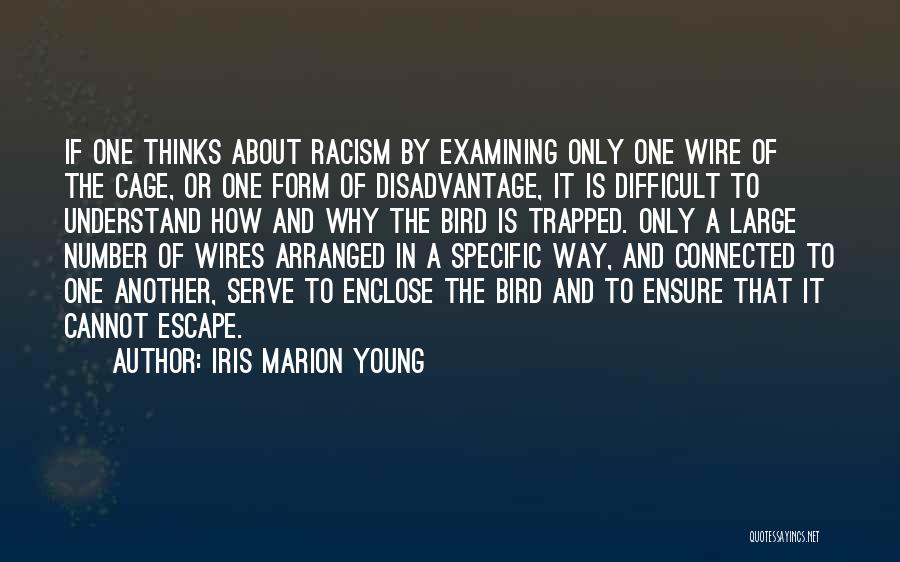 Iris Marion Young Quotes 447918