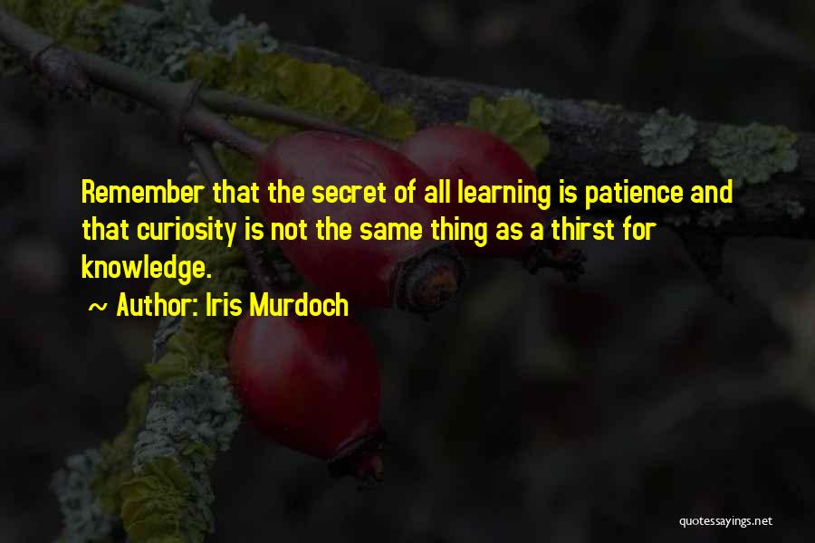 Iris Murdoch Quotes 210992