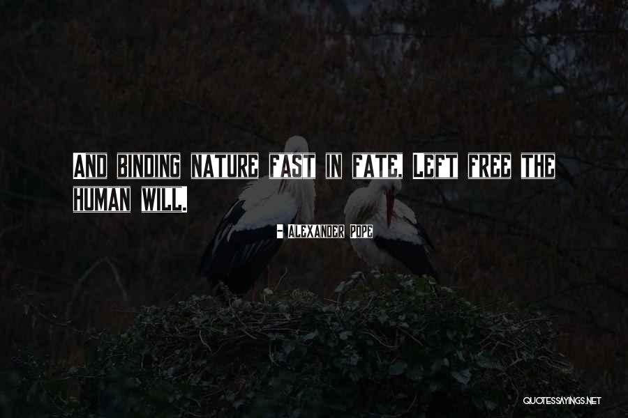 Irische Quotes By Alexander Pope Irische Quotes By Alexander Pope