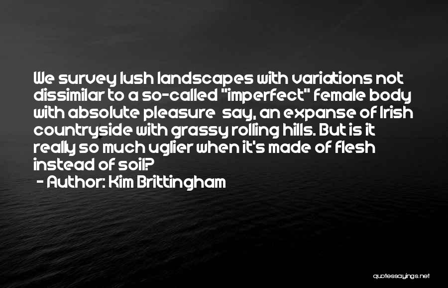 Irish Countryside Quotes By Kim Brittingham