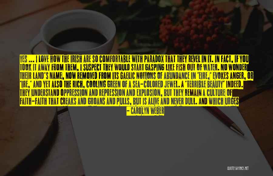 Irish Gaelic Quotes By Carolyn Weber Irish Gaelic Quotes By Carolyn Weber