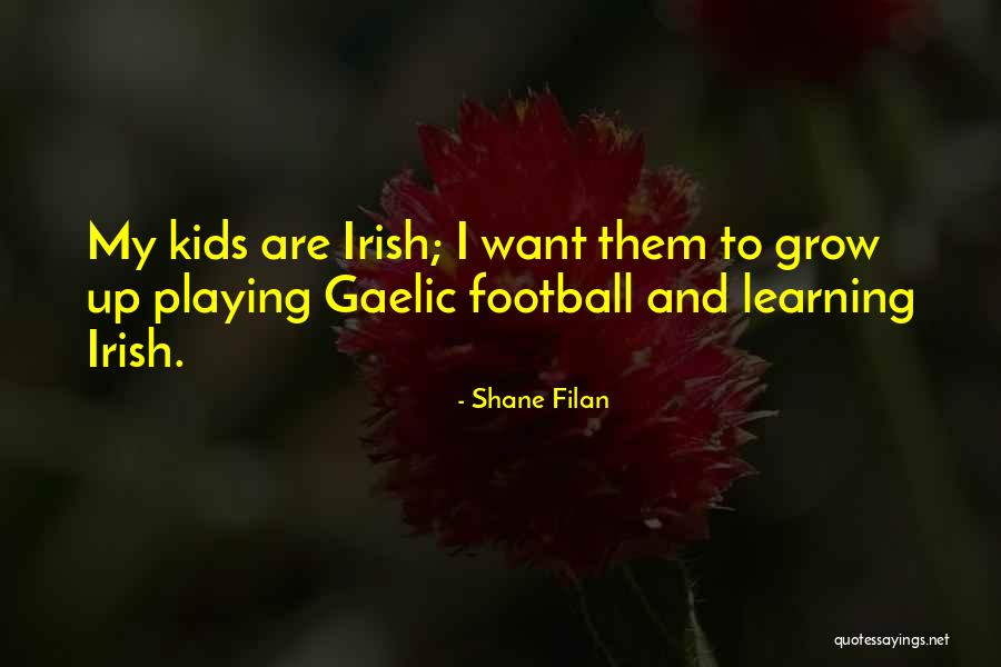 Irish Gaelic Quotes By Shane Filan Irish Gaelic Quotes By Shane Filan