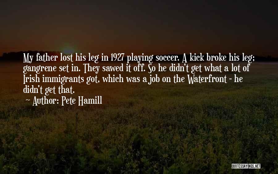 Irish Immigrants Quotes By Pete Hamill