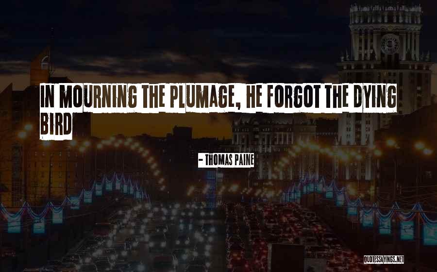 Irish Ira Quotes By Thomas Paine Irish Ira Quotes By Thomas Paine