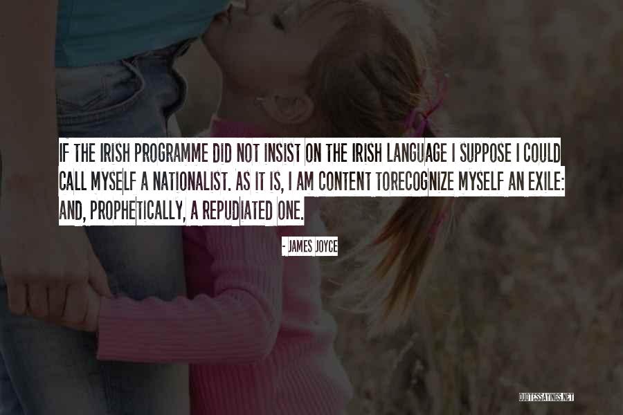 Irish Politics Quotes By James Joyce Irish Politics Quotes By James Joyce