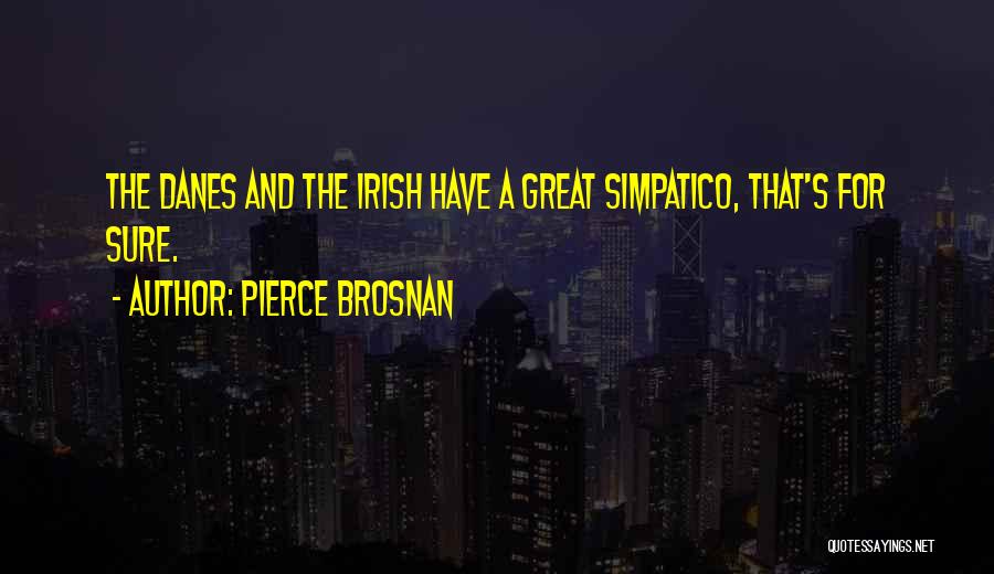 Irish Quotes By Pierce Brosnan