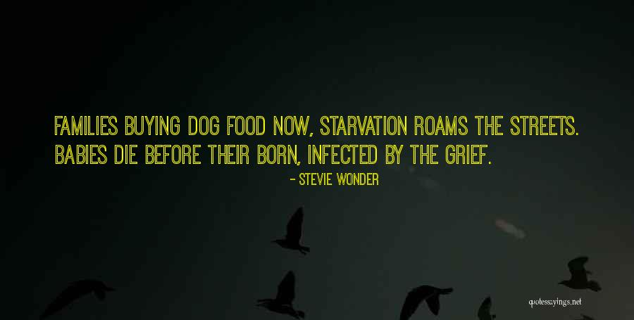 Irish Stereotype Quotes By Stevie Wonder Irish Stereotype Quotes By Stevie Wonder