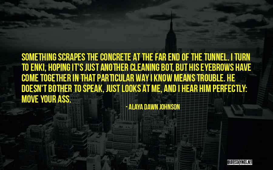 Irish Travelling Quotes By Alaya Dawn Johnson Irish Travelling Quotes By Alaya Dawn Johnson