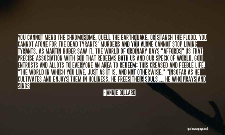 Irish Travelling Quotes By Annie Dillard Irish Travelling Quotes By Annie Dillard